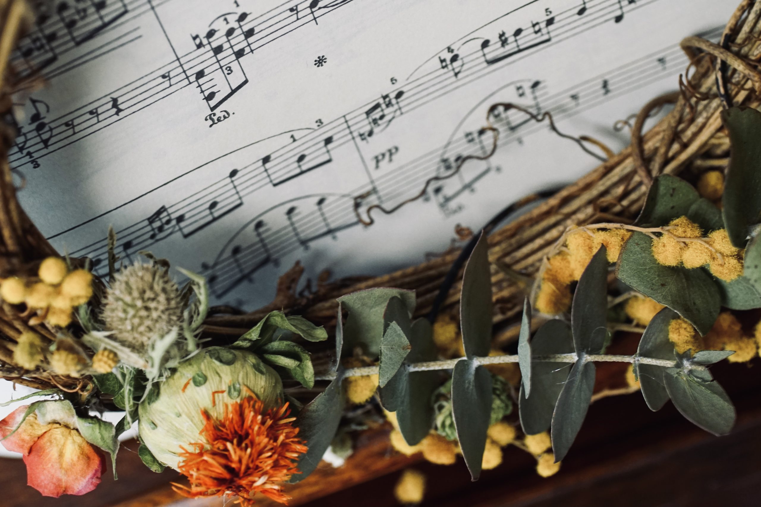 なかむらピアノ教室　クラス・料金ページ　特別レッスン